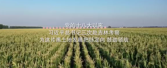 1654073996(1).png 1654073996(1).png