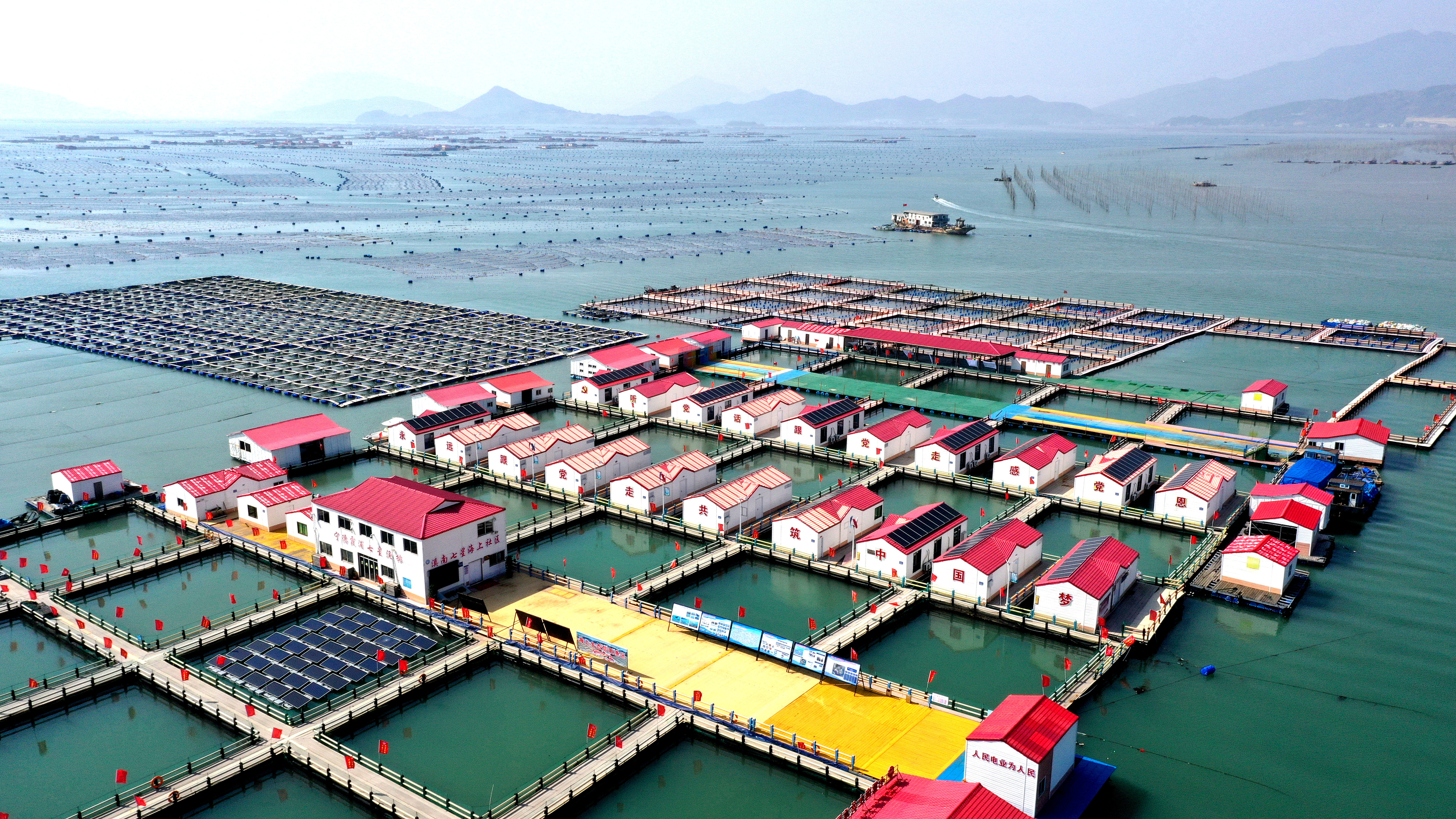 2024年3月20日，福建省寧德市，霞浦縣溪南鎮七星村漁排養殖示范區，漁民駕駛養殖船進行海參養殖作業。