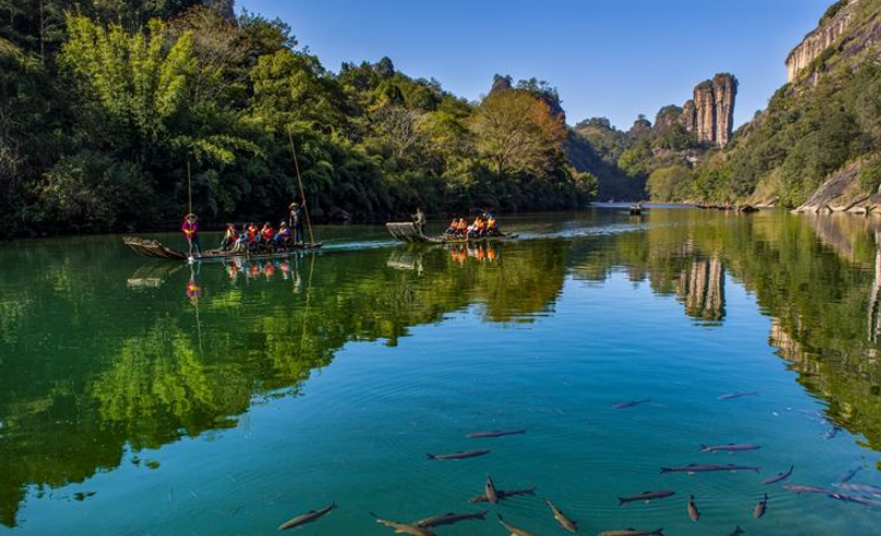 武夷山國家公園如何擦亮生態名片？