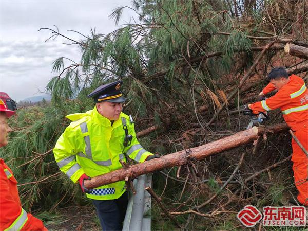 泰寧中隊執法員聯合養護部門清理倒伏樹木.jpg 泰寧中隊執法員聯合養護部門清理倒伏樹木.jpg