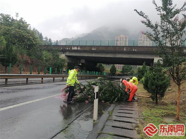 處置樹木倒伏.jpg 處置樹木倒伏.jpg